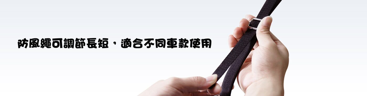 汽車帳篷實例 10